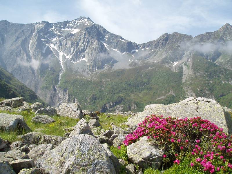 Youri - Ecrins 2005 343 